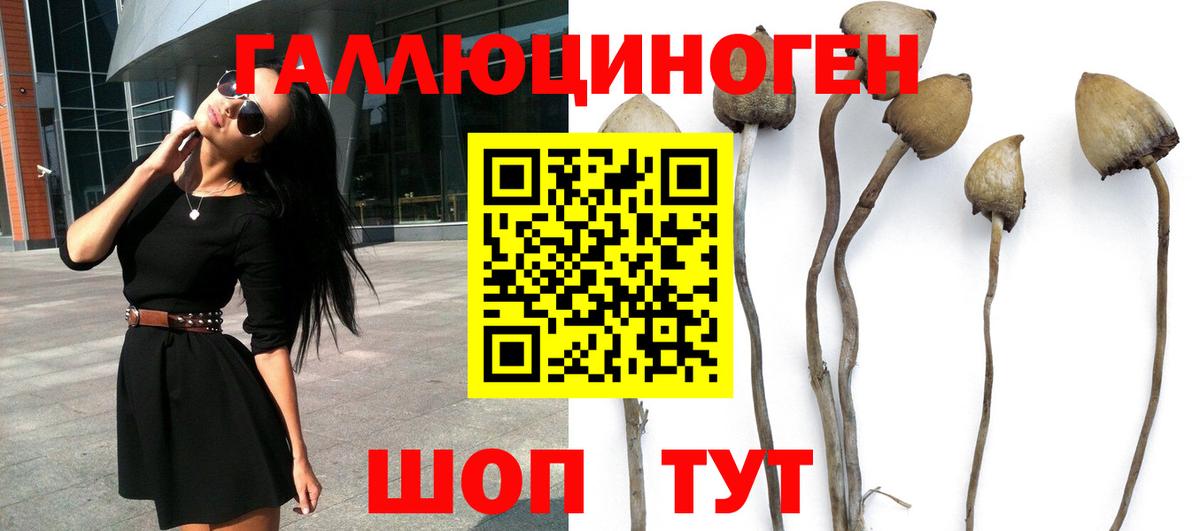 Галлюциногенные грибы ЛСД  Вход с VPN  как найти закладки  Саранск 