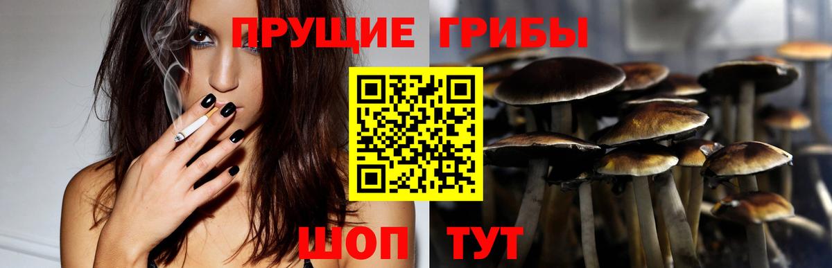 Галлюциногенные грибы мухоморы Саранск
